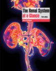 Renal System at a Glance